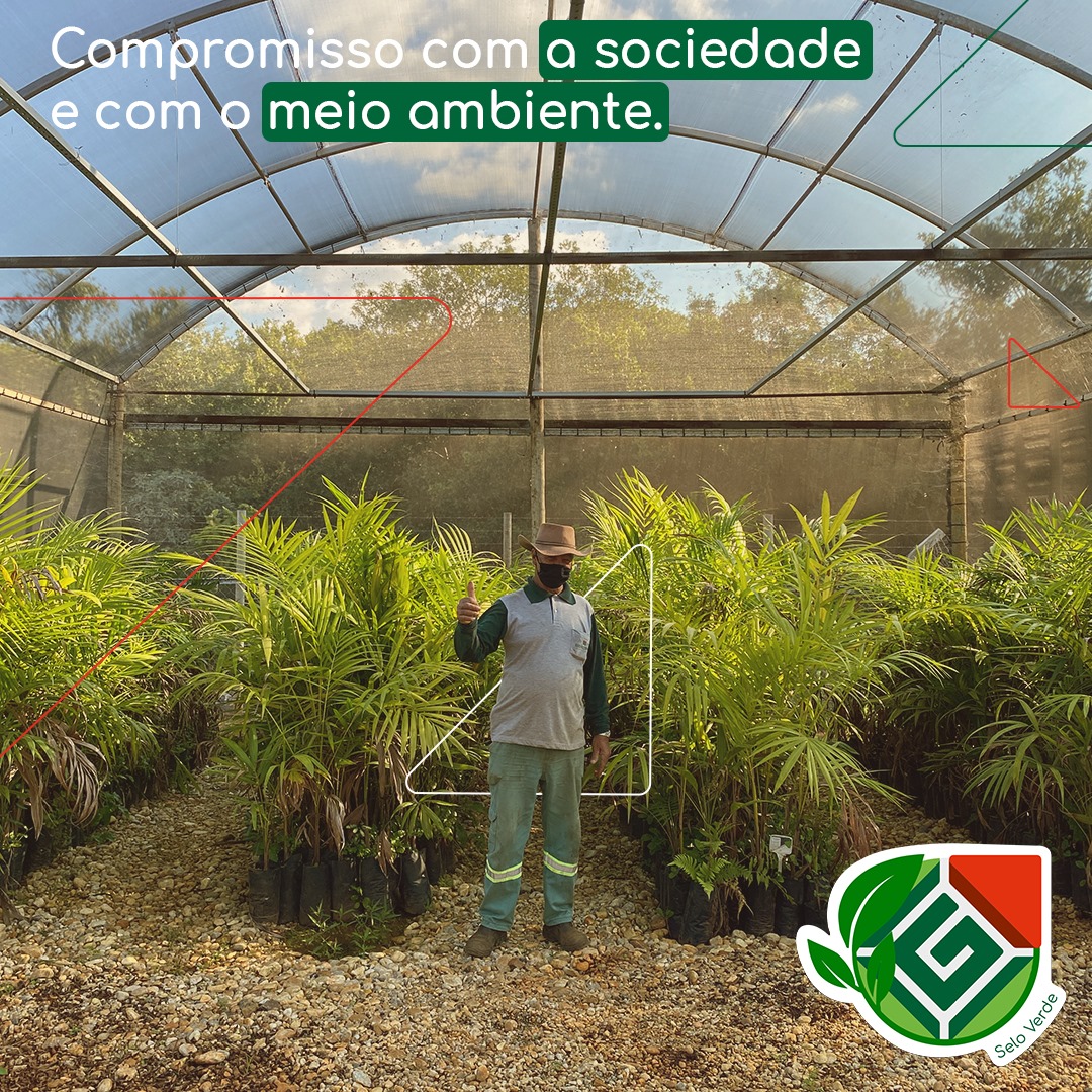 Conheça o Selo Verde da Gencons