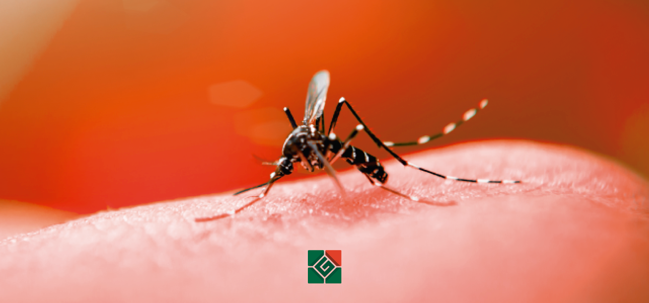 Proteja-se contra a Dengue